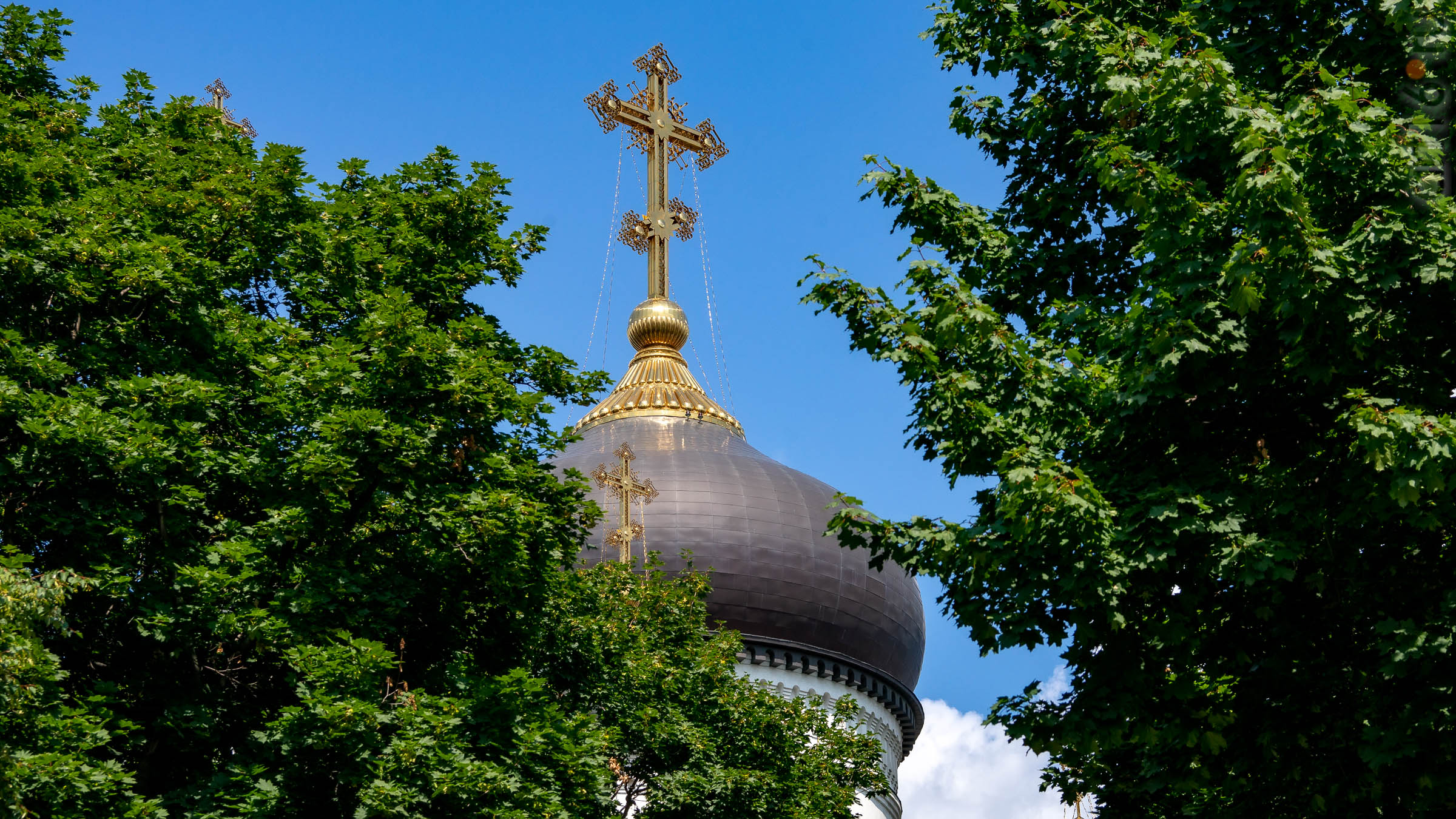 Купол Благовещенского кафедрального собора (Пр. Революции, 14в)::Воронеж 20.07.2019