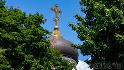 Купол Благовещенского кафедрального собора (Пр. Революции, 14в)
