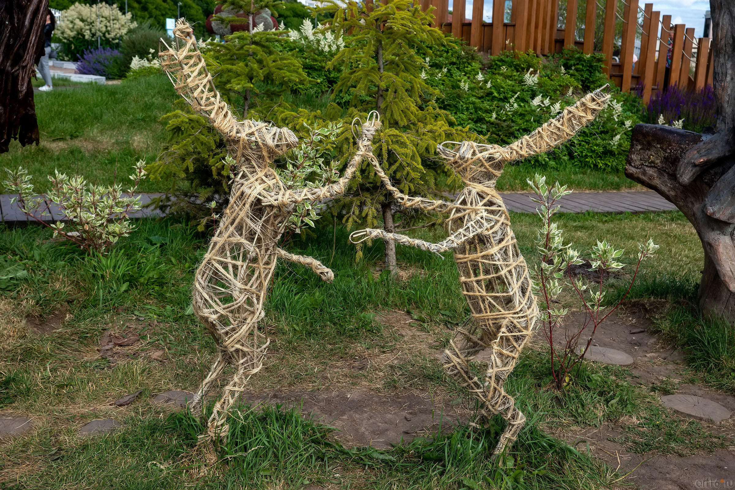 ::Цветочный фестиваль - 2020