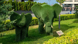 Фигурки слона и слоненка из искусственой травы. Кремлевская набережная