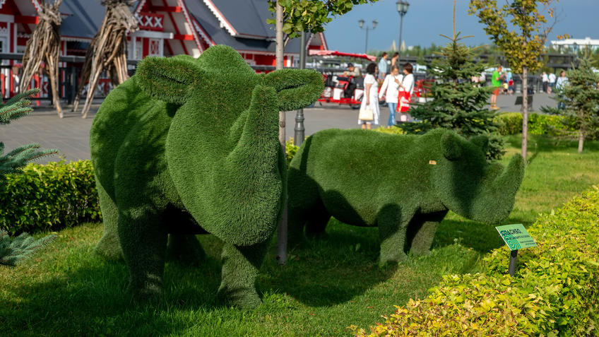 Носорог и носорожек из искусственной травы. Кремлевская набережная::Кремлевская набережная, 30 июля 2020