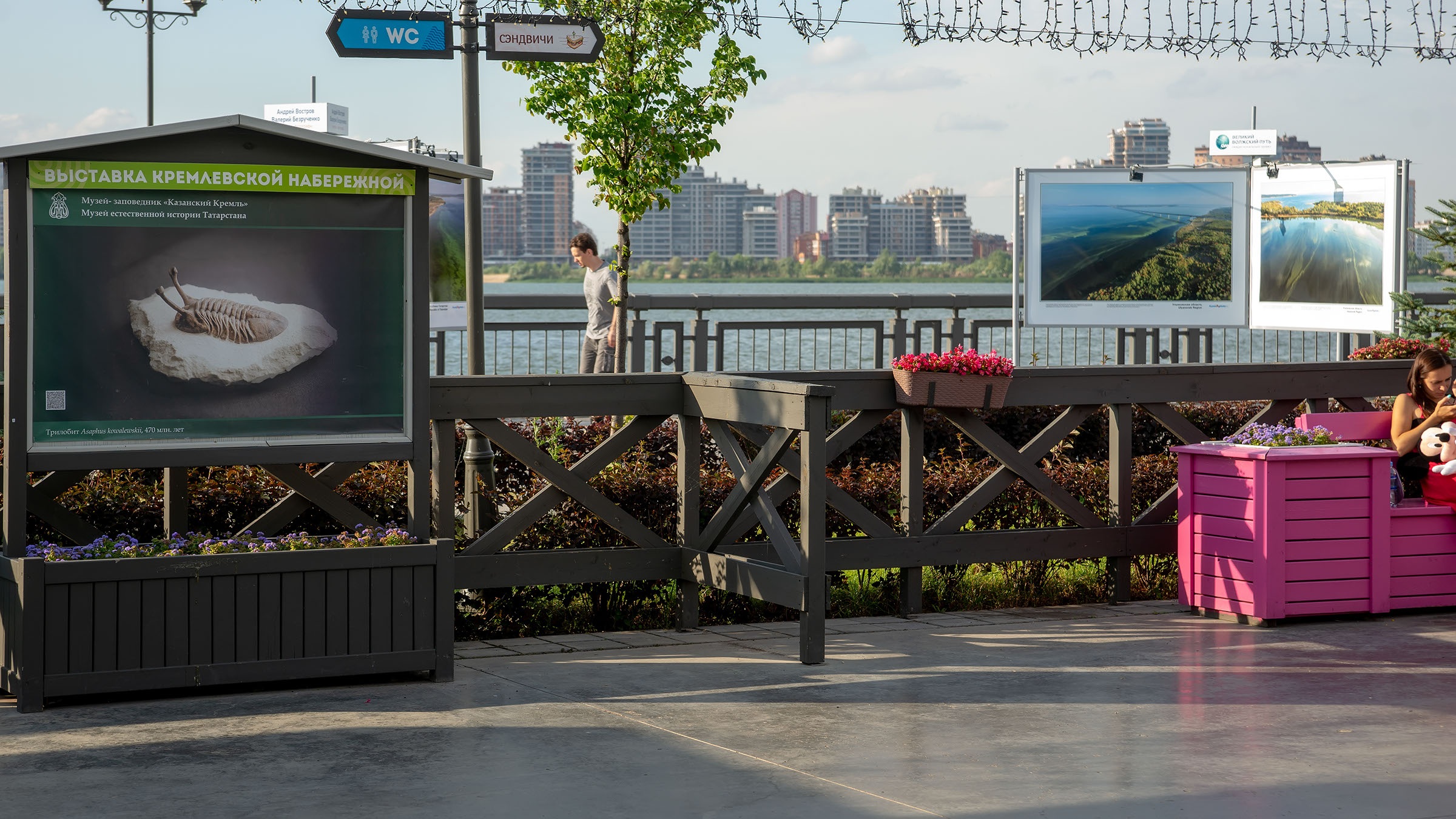 Выставка  на  Кремлевской набережной::Кремлевская набережная, 30 июля 2020