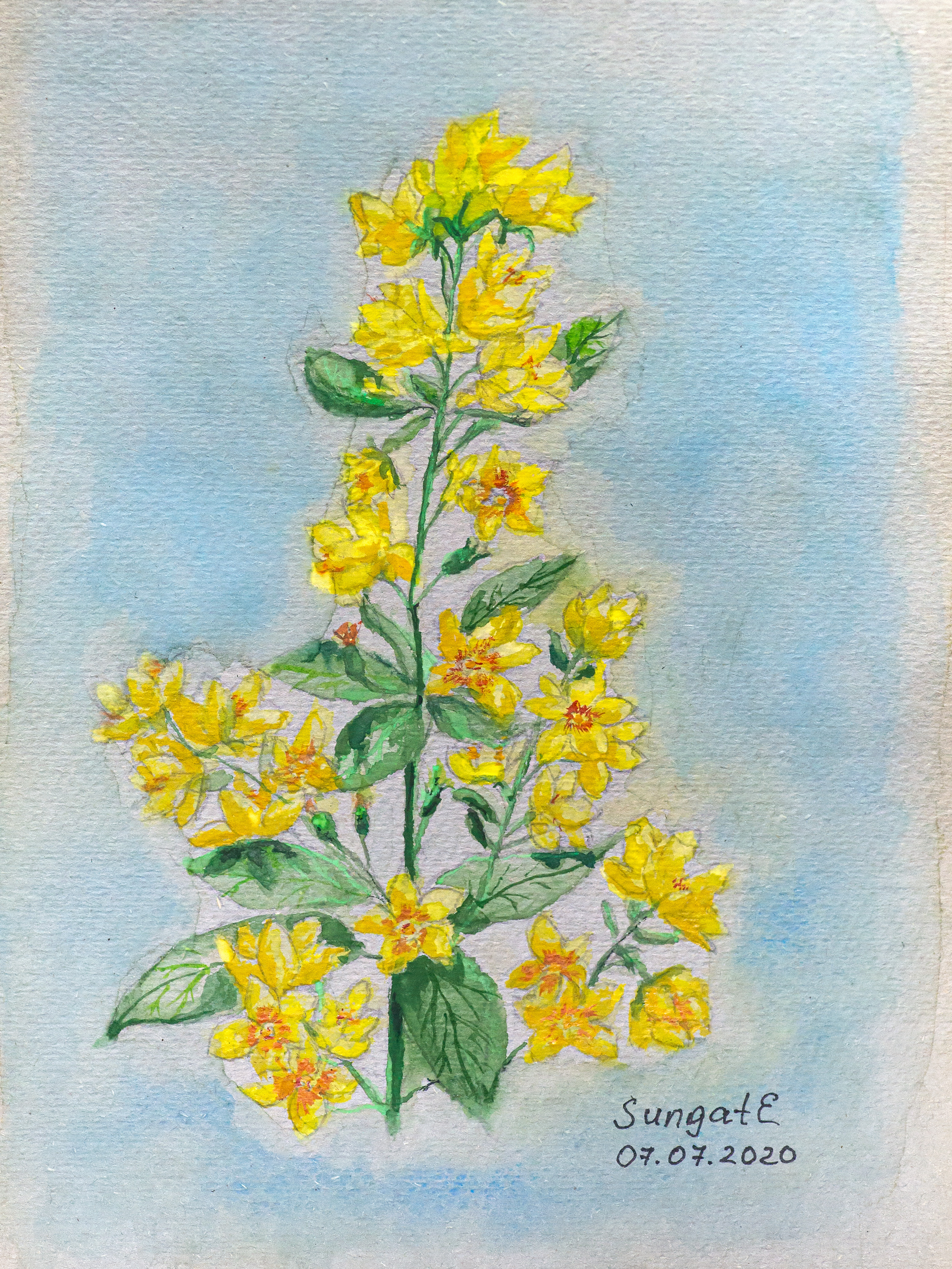 ::Акварель. Пастель. Гуашь