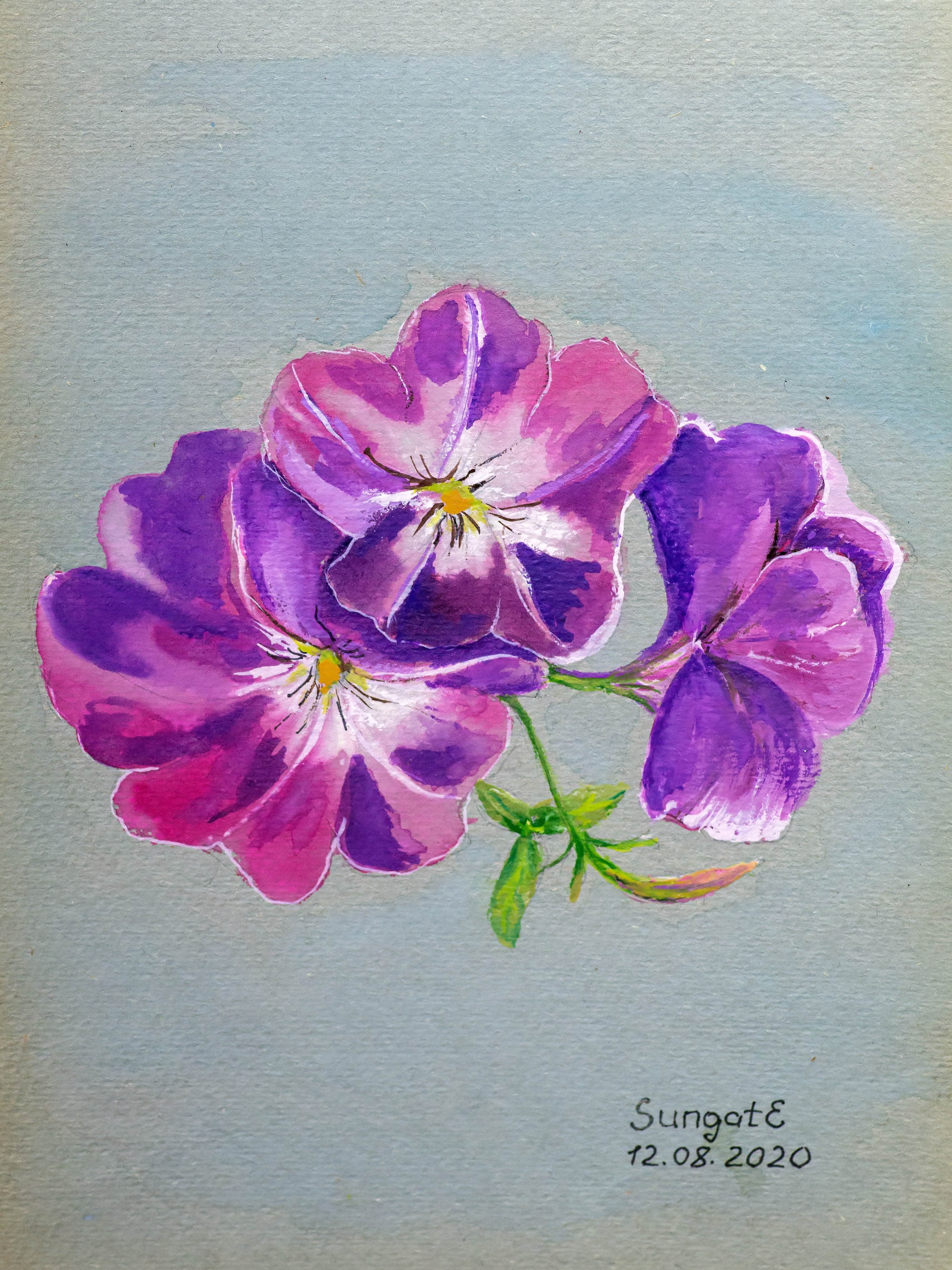 ::Акварель. Пастель. Гуашь