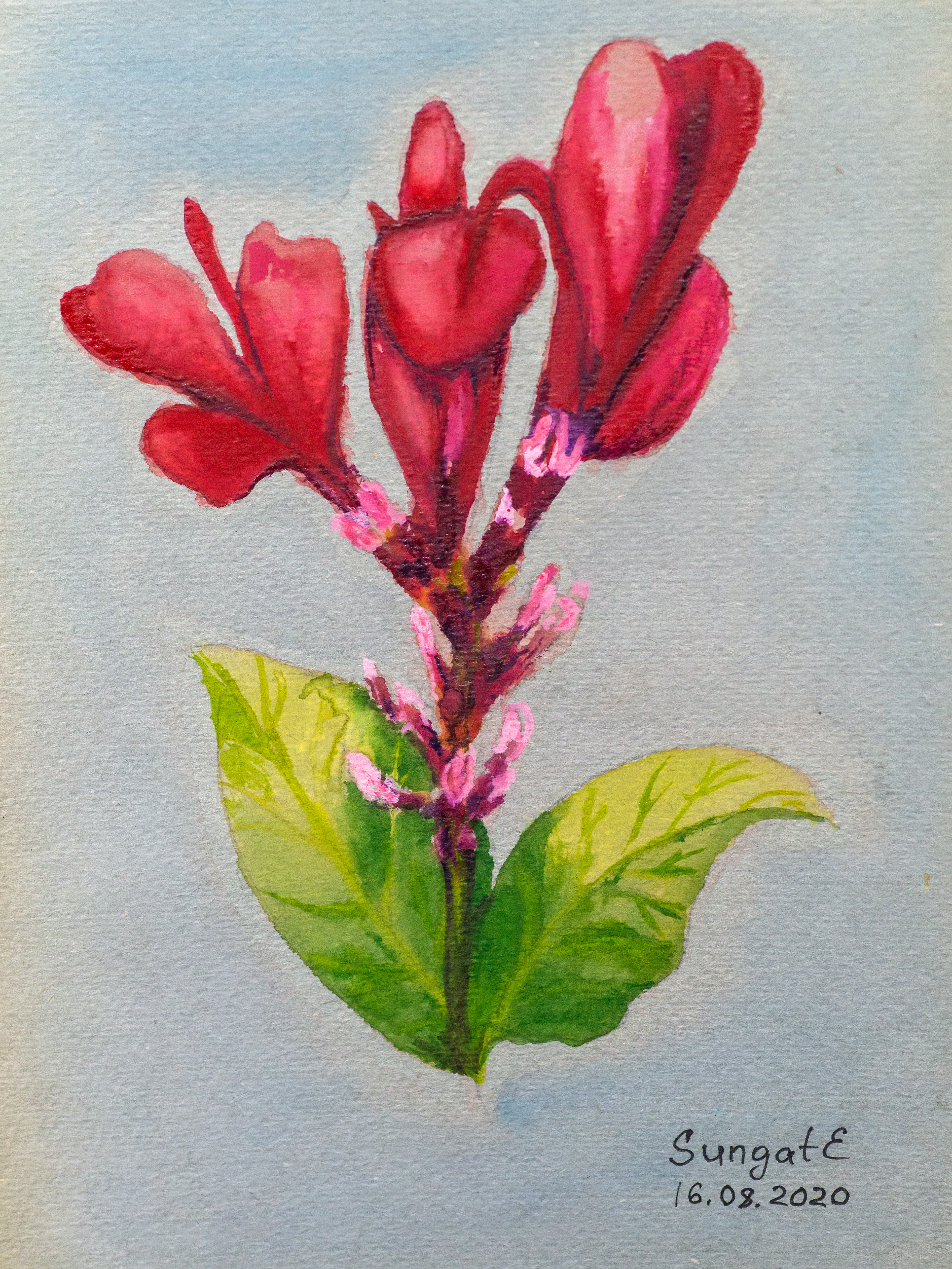 ::Акварель. Пастель. Гуашь