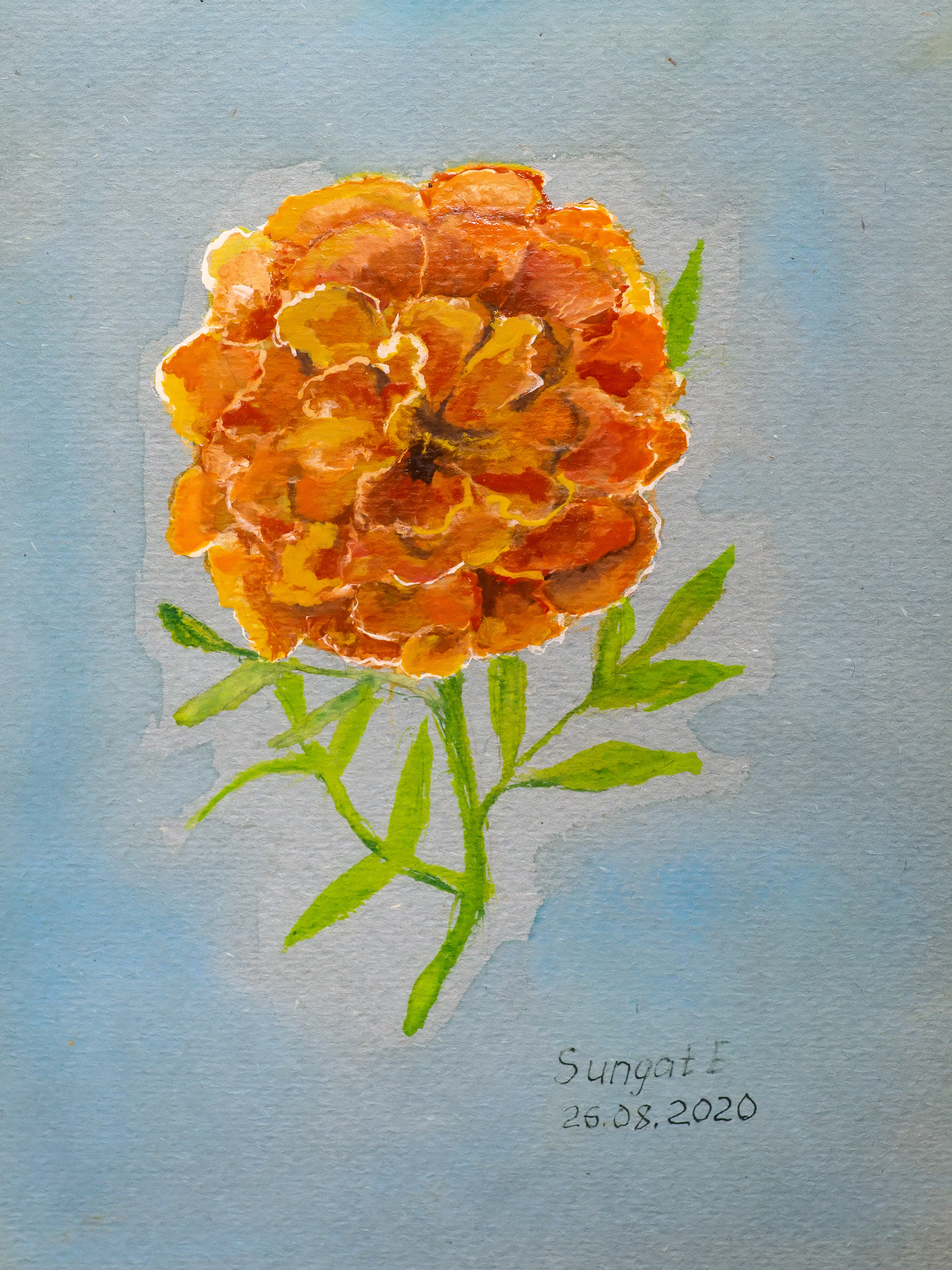 ::Акварель. Пастель. Гуашь