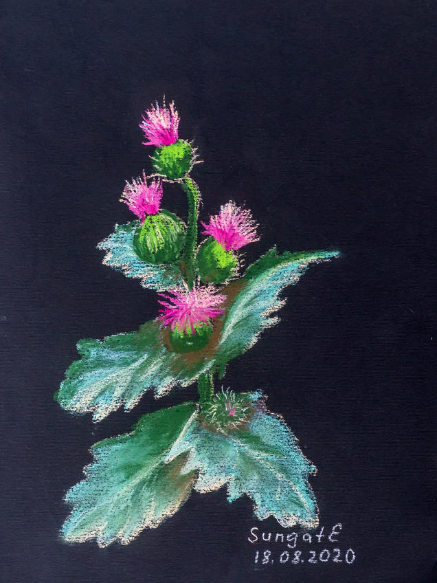 ::Акварель. Пастель. Гуашь