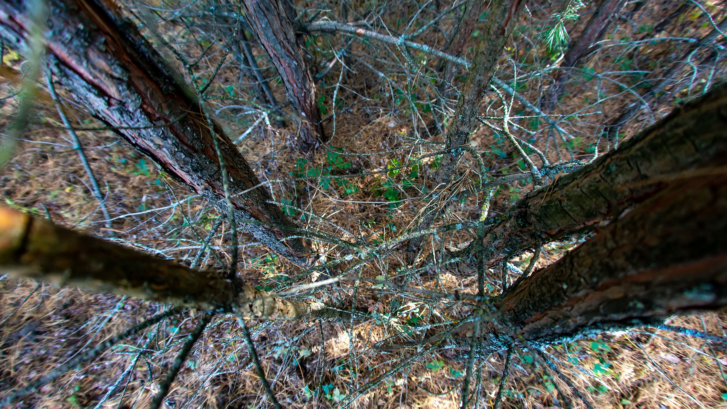 ::Природа Прихоперья