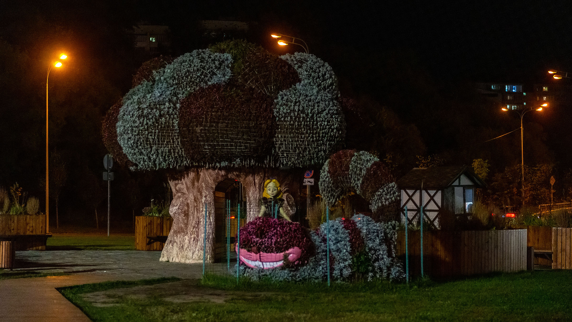 Цветочный фестиваль возле ТГТК «Экият». Вечер, Казань::Ночная прогулка по Казани