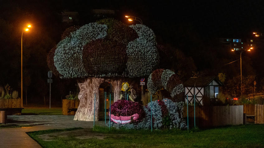 Фото №981642. Цветочный фестиваль возле ТГТК «Экият». Вечер, Казань