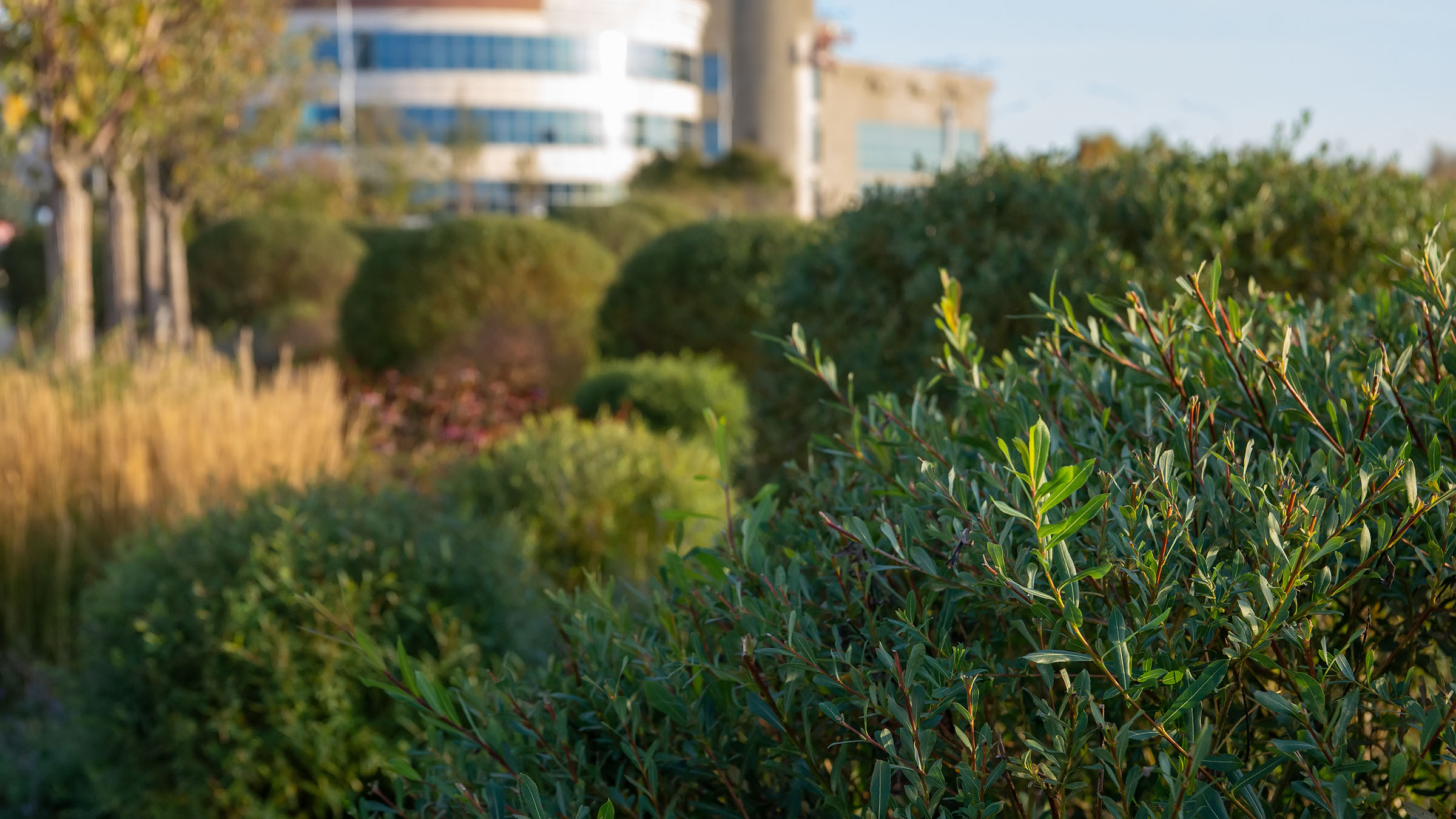 ::Набережная озера Кабан. Часть 1