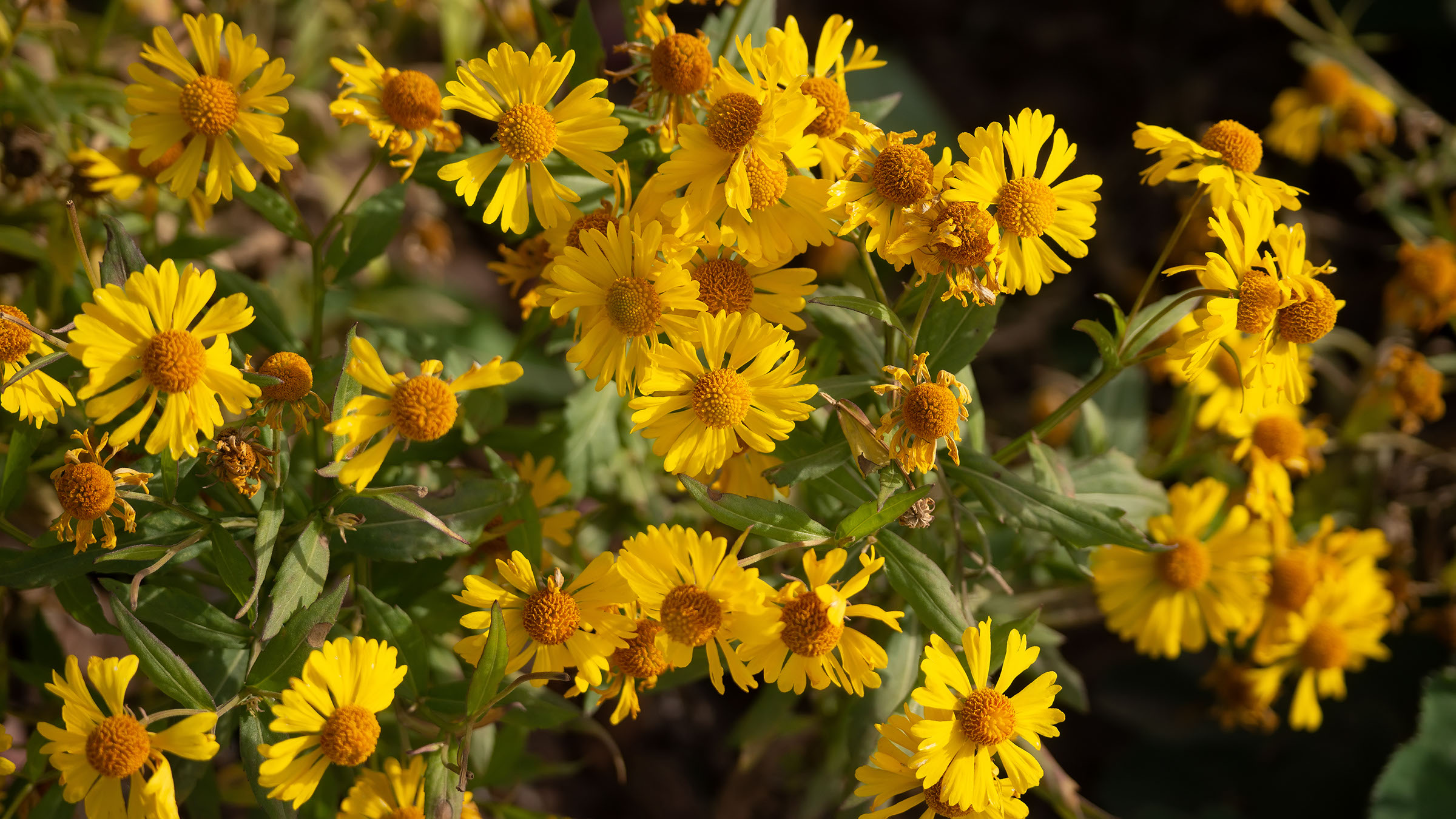 ::Набережная озера Кабан, часть 2