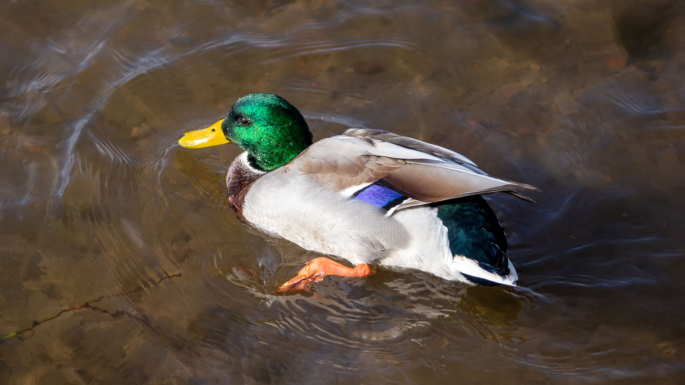 ::Набережная озера Кабан, часть 2