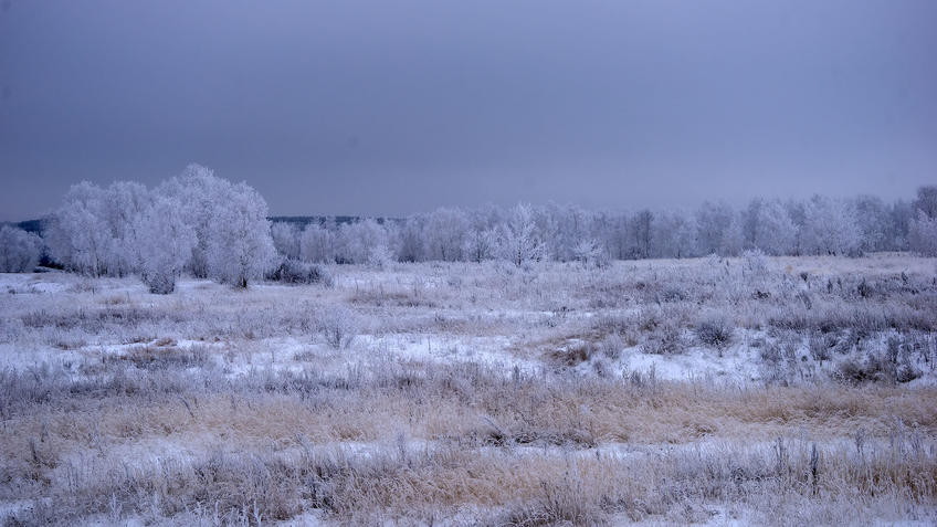 Фото №986788. Зима в России
