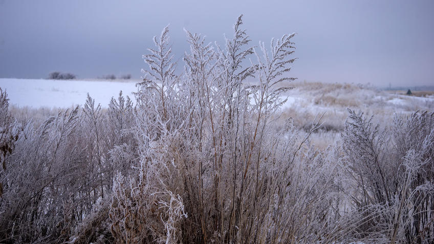 Фото №986800. Зима в России