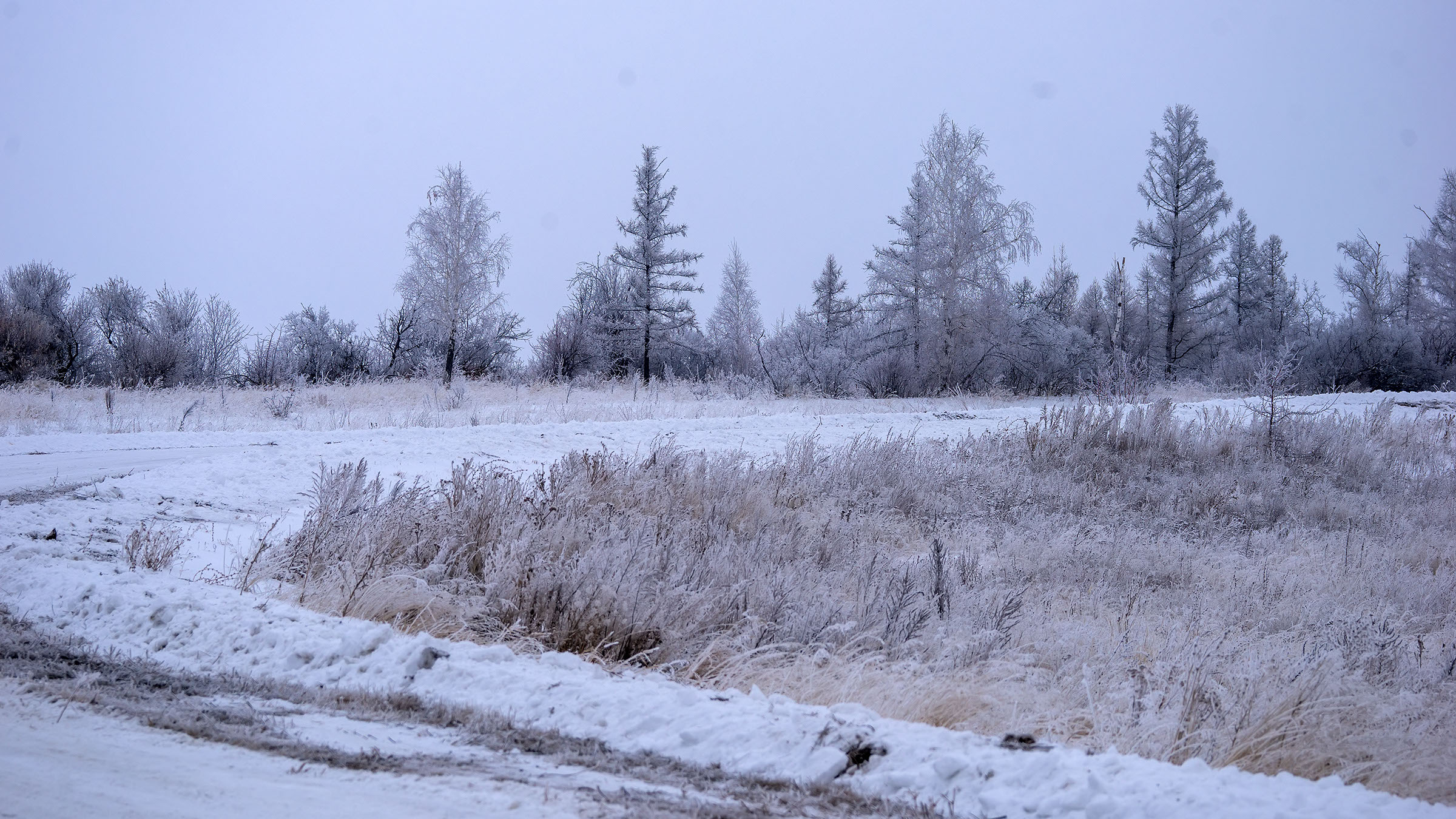 Зима в России::Зима 2021