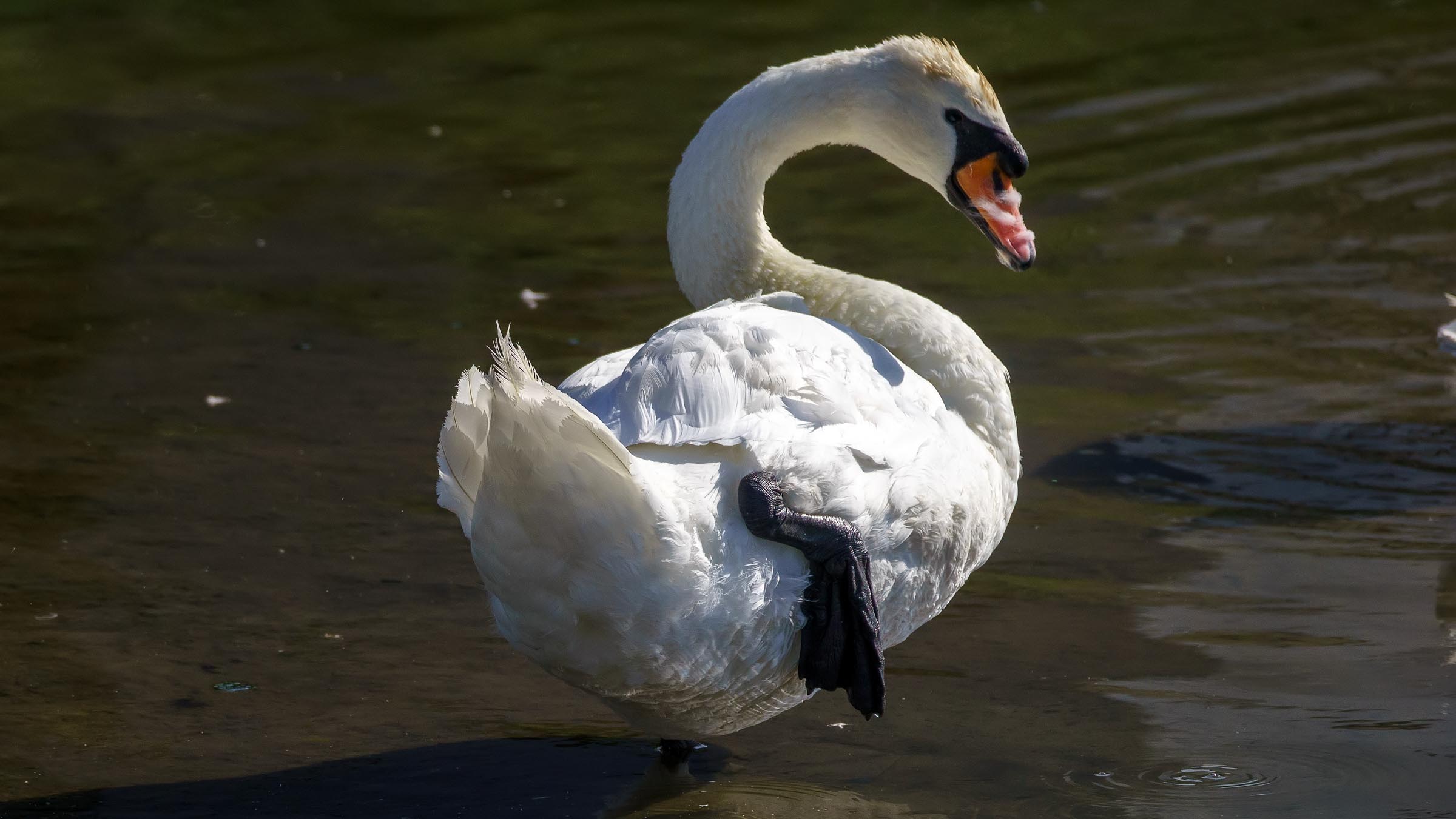::Казань, ул. Ульяновых, Петербургская, Островского, набережная озера Нижний Кабан