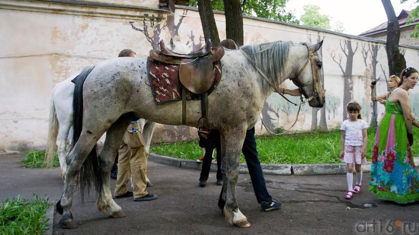 Лашадь в ГМИИ  РТ::Ночь в музее - 2012